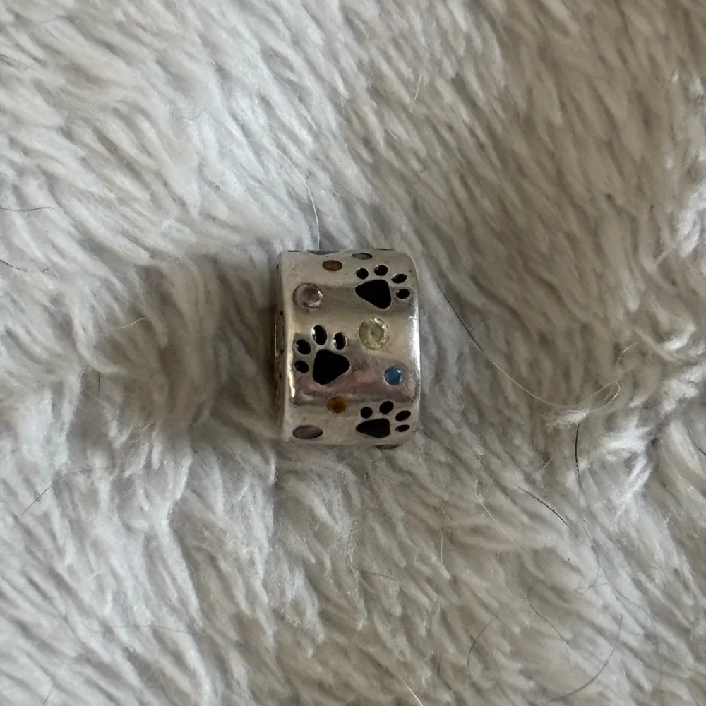 Silver Paw Print Charm for Pets